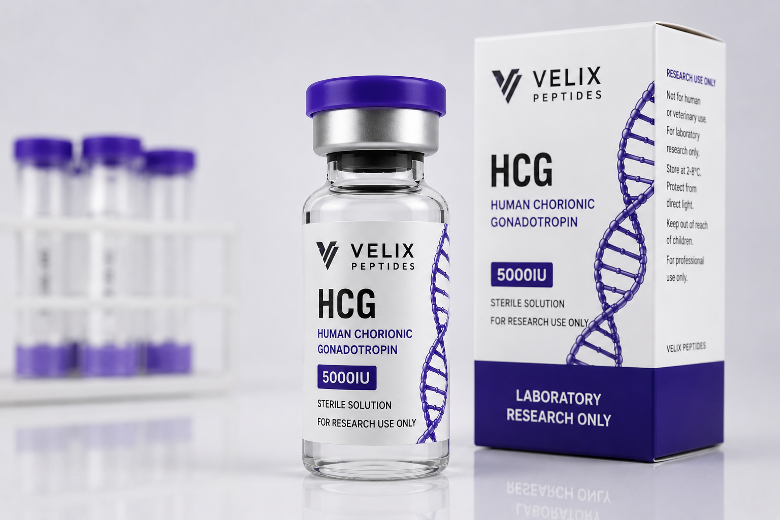 Premium HCG peptide research solution close-up image Premium HCG peptide research solution close-up image