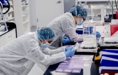 peptide stability testing data interpretation and analysis