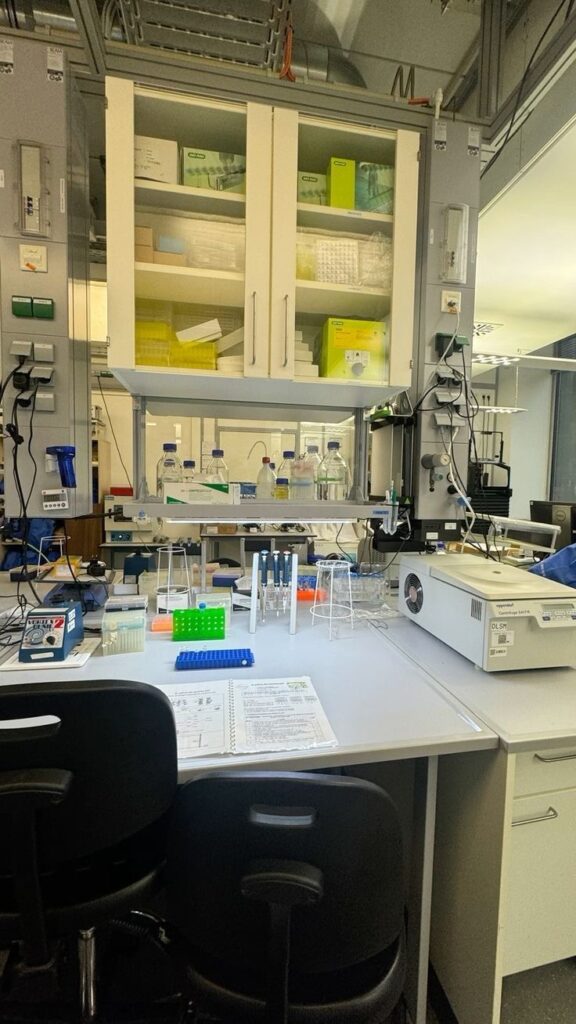 temperature and environmental factors affecting peptide degradation