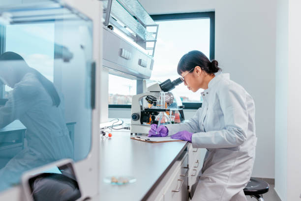 Peptide degradation analysis and stability testing