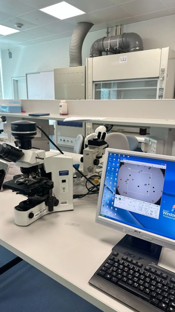 Peptide Synthesis Process: 12 Essential Steps Every Researcher Should Understand modern peptide synthesis process research laboratory