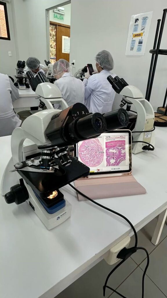 Peptide Research Applications: 15 Important Uses in Modern Scientific Studies peptide research applications laboratory scientific investigation