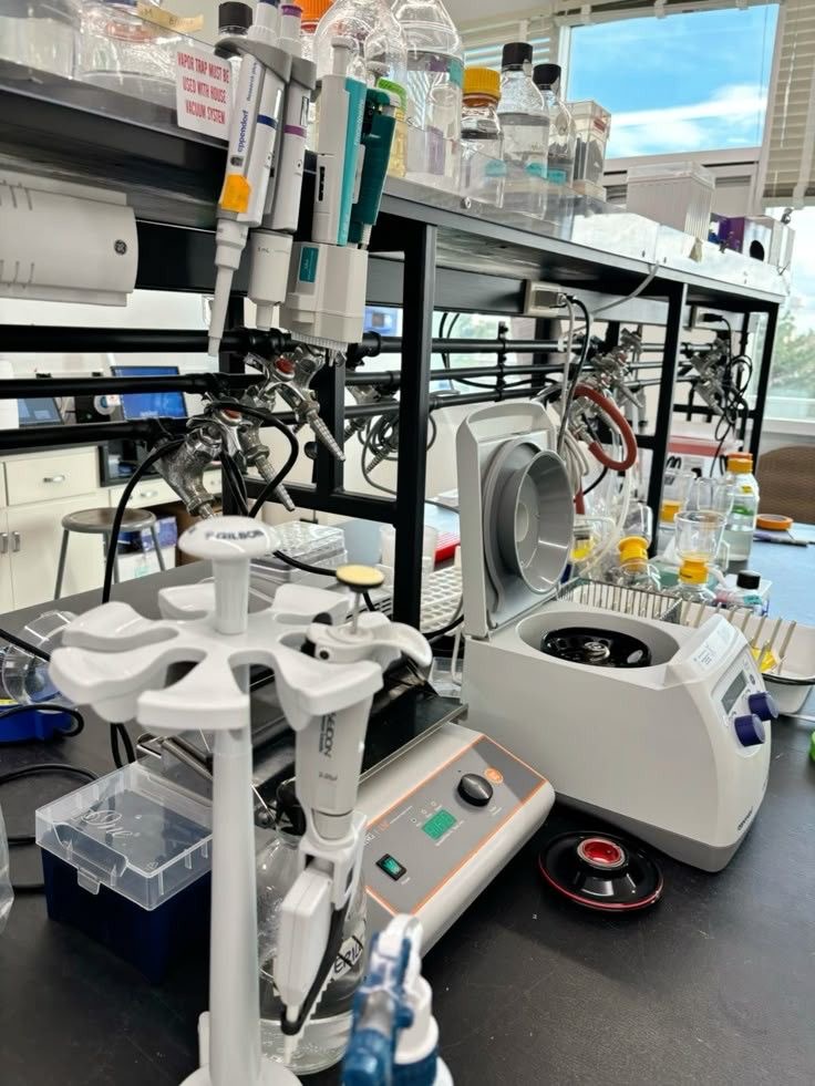 Peptide Research Applications: 15 Important Uses in Modern Scientific Studies biotechnology peptide research applications scientific laboratory
