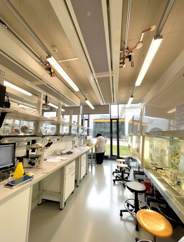 Laboratory Peptides: 16 Essential Facts Every Researcher Should Understand laboratory peptides biotechnology research applications