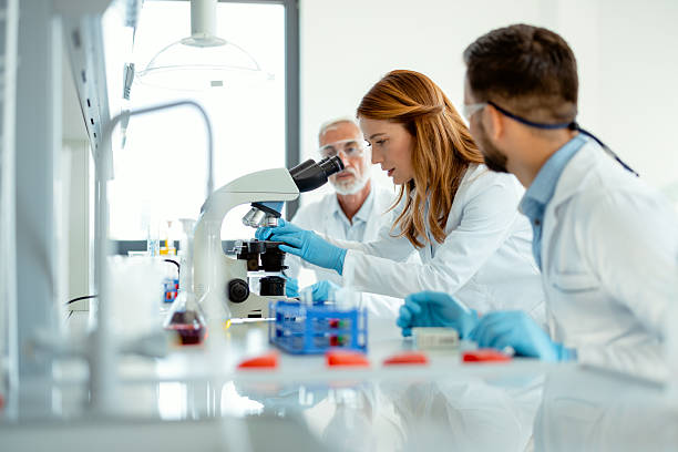 Peptide Testing Procedures: 15 Critical Steps for Accurate Laboratory Analysis peptide testing procedures laboratory analysis and verification