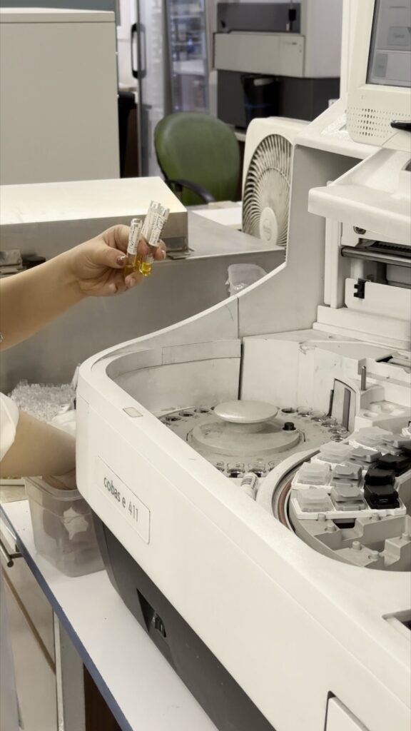Peptide Research Validation: 15 Essential Steps for Reliable Scientific Results peptide research validation analytical method verification