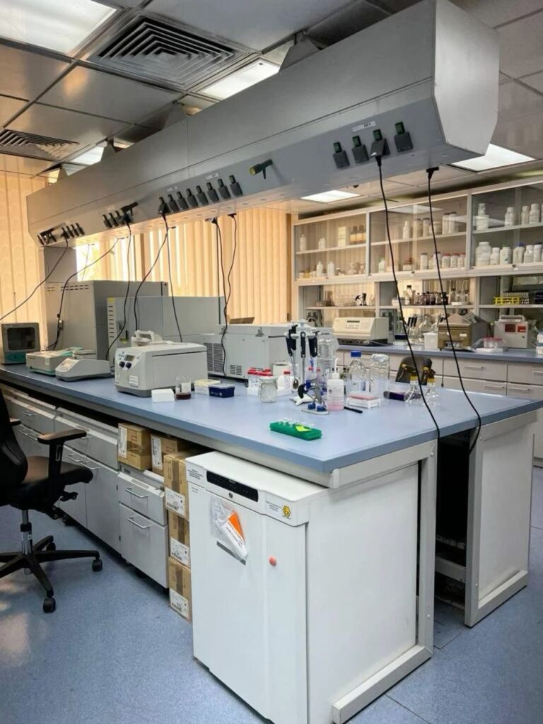Peptide Research Validation: 15 Essential Steps for Reliable Scientific Results peptide research validation data validation procedures