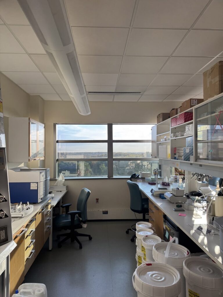 Peptide Research Validation: 15 Essential Steps for Reliable Scientific Results future peptide research validation technologies and scientific innovation