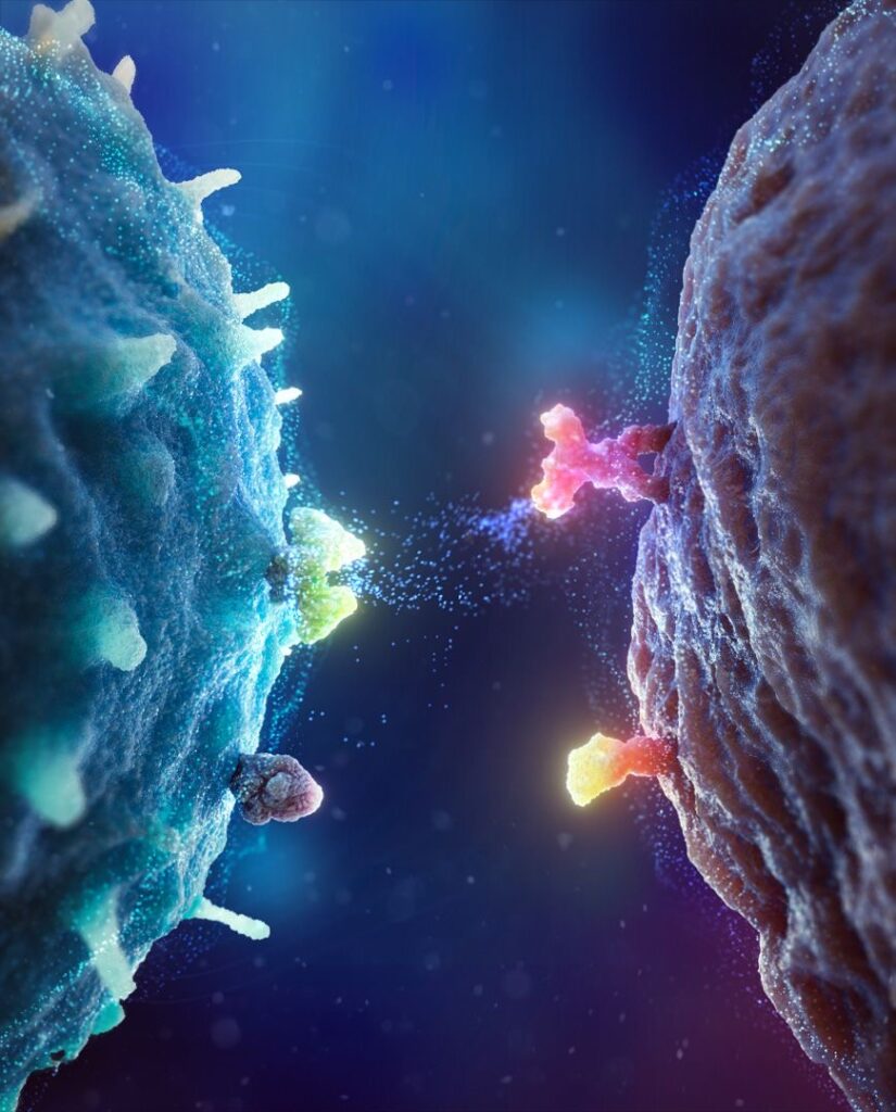Semaglutide Research Peptides: Scientific Applications, Mechanisms, and Laboratory Research Guide GLP-1 receptor research mechanism