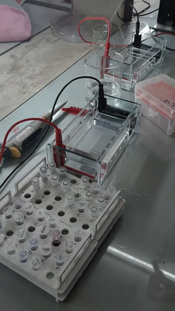 Tirzepatide Research Peptides: Molecular Characteristics, Laboratory Applications, and Scientific Research Guide tirzepatide research peptides laboratory molecular biology investigation